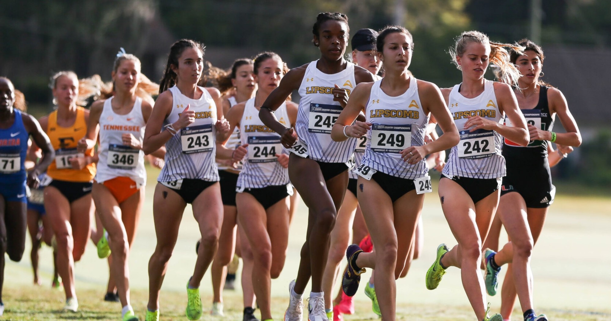 Lipscomb women's cross country